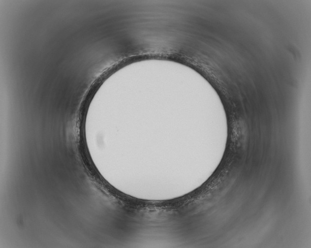 X0000112860632200908281605