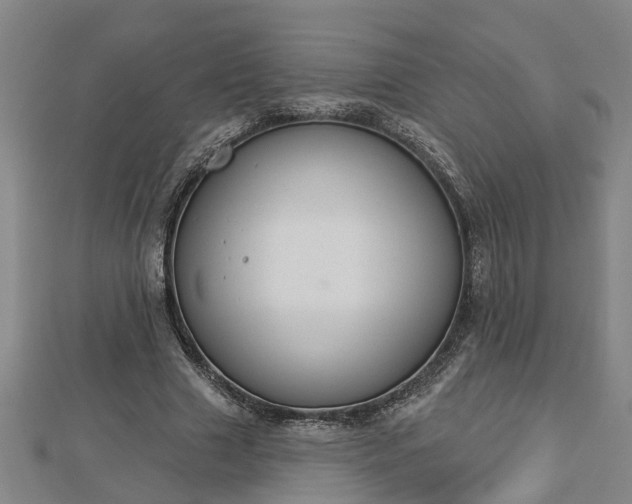 X0000112860633200908281605