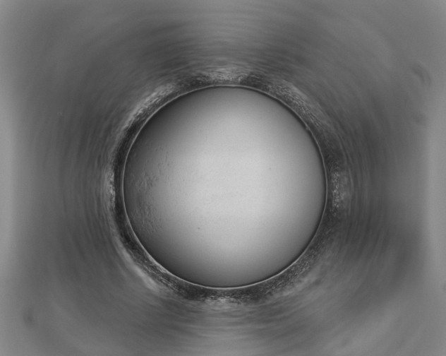 X0000112860634200908281605