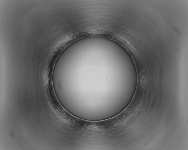 X0000112860635200908281605