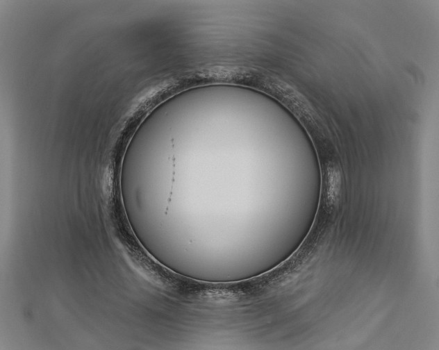 X0000112860636200908281605