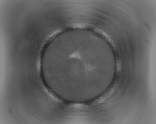 X0000112860637200908281605