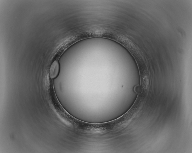 X0000112860638200908281605