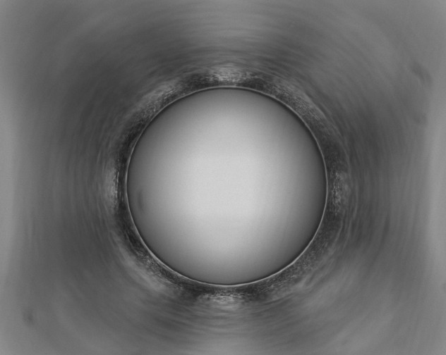 X0000112860639200908281605