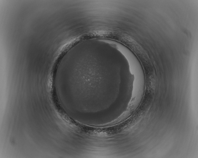 X0000112860640200908281605