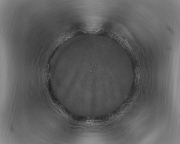 X0000112860641200908281605