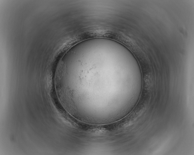 X0000112860642200908281605