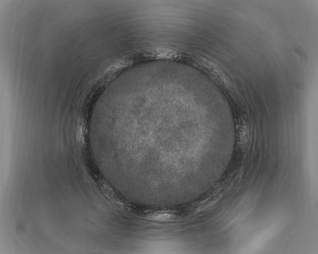 X0000112860643200908281605