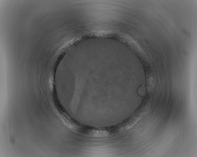 X0000112860644200908281605