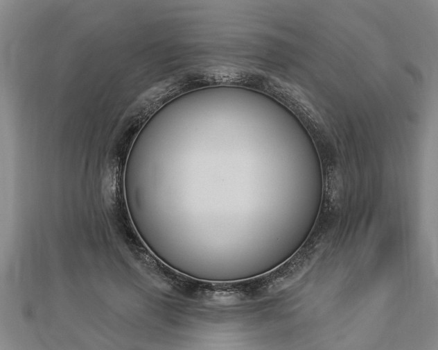 X0000112860645200908281605