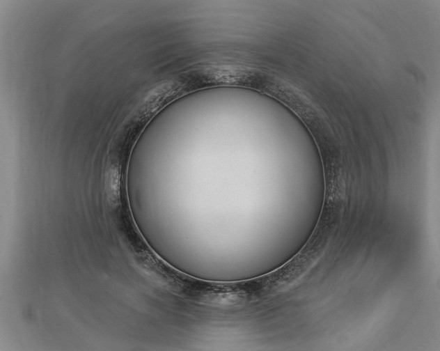 X0000112860646200908281605