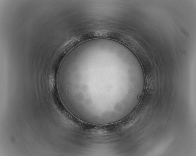 X0000112860648200908281605