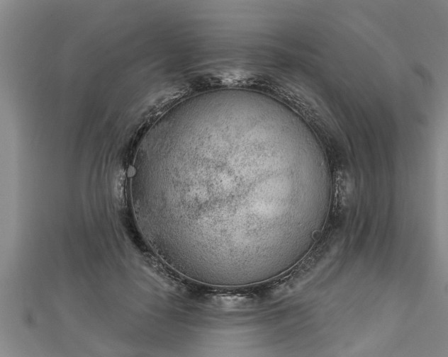 X0000112860650200908281605