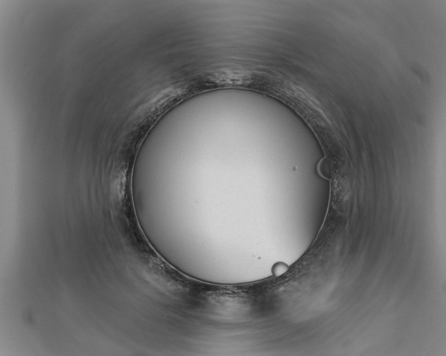 X0000112860652200908281605