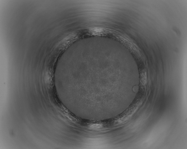 X0000112860653200908281605