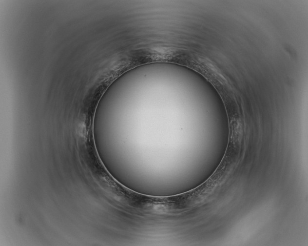 X0000112860655200908281605