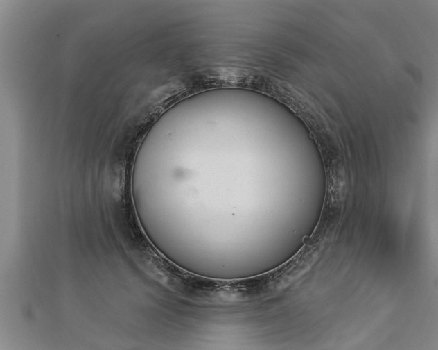 X0000112860656200908281605