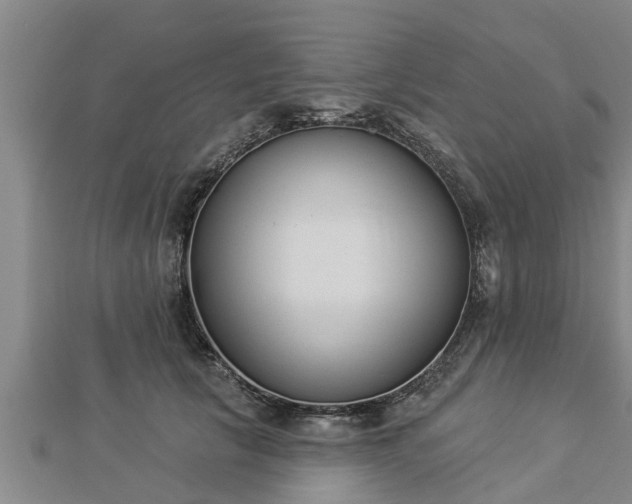 X0000112860657200908281605