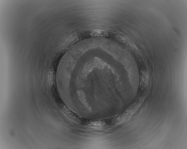 X0000112860659200908281605