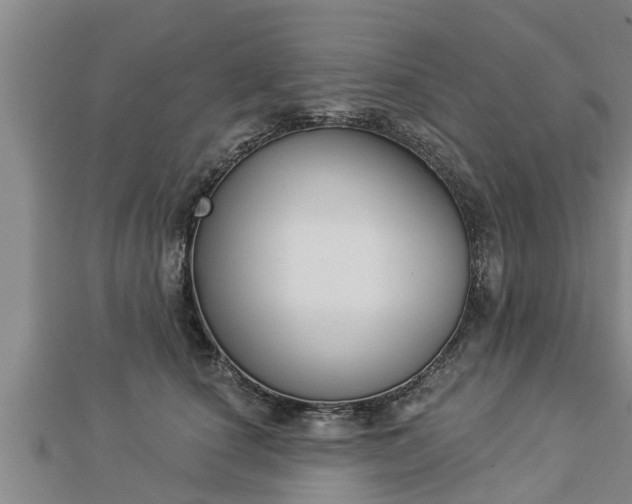 X0000112860660200908281605