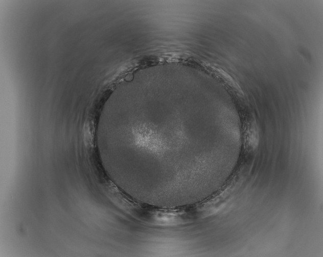 X0000112860661200908281605
