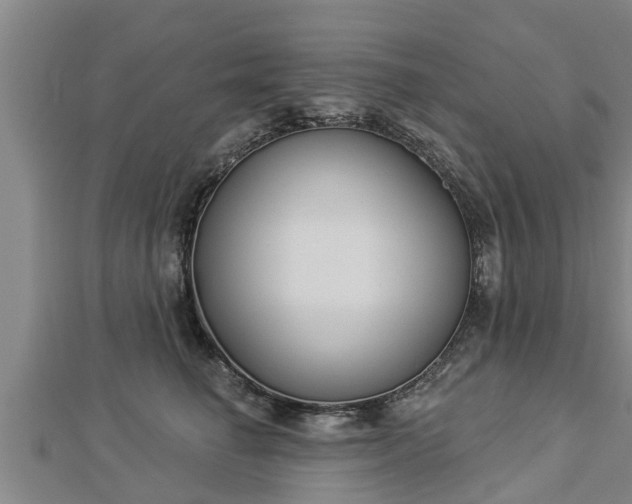X0000112860662200908281605