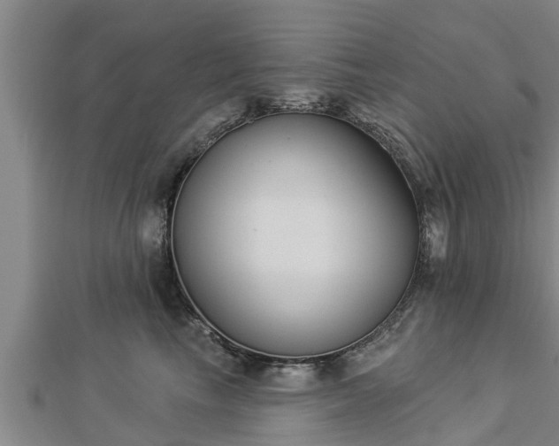 X0000112860665200908281605