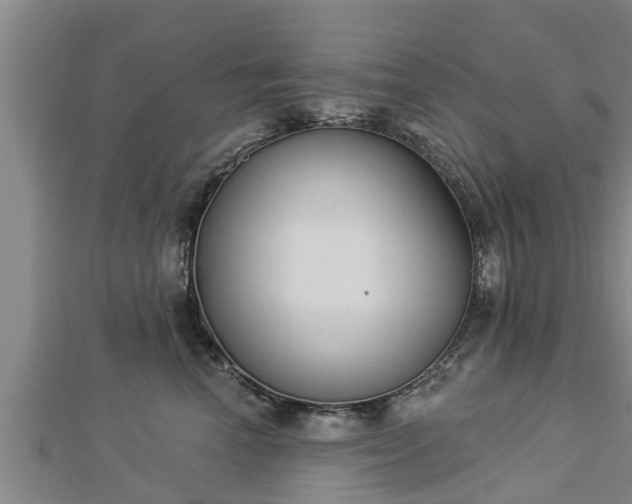 X0000112860666200908281605