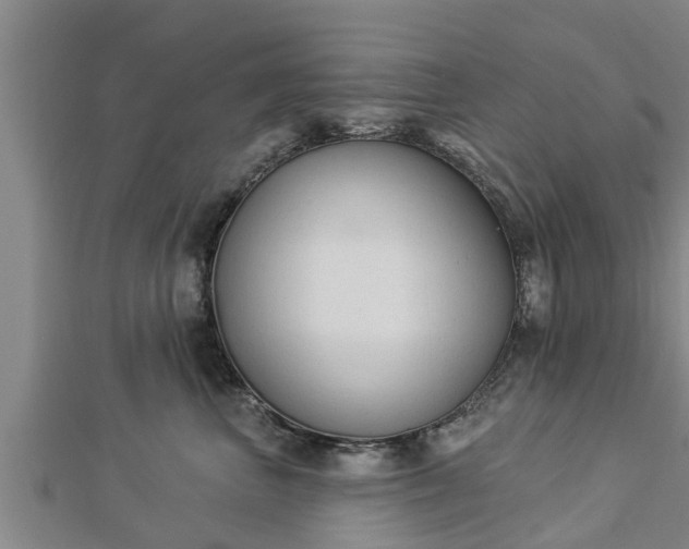 X0000112860667200908281605