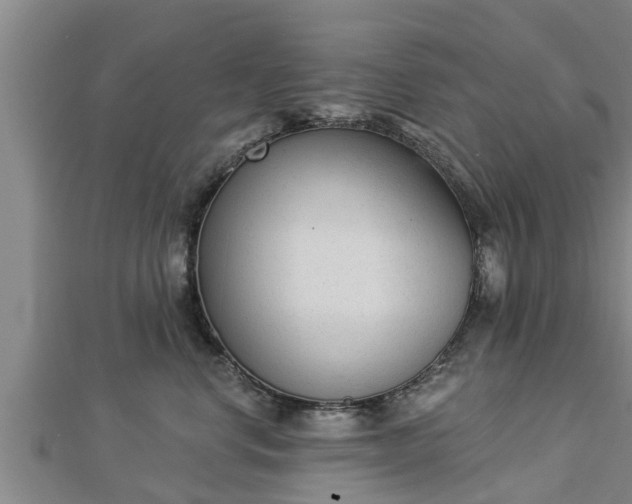 X0000112860668200908281605