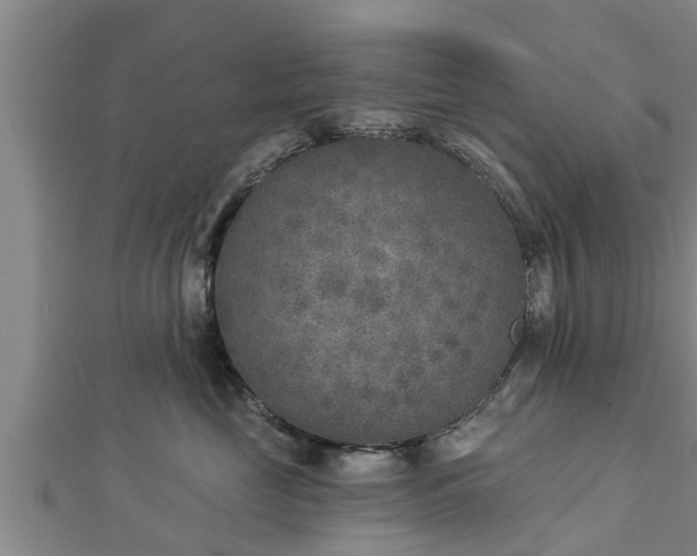 X0000112860669200908281605