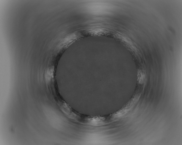 X0000112860670200908281605