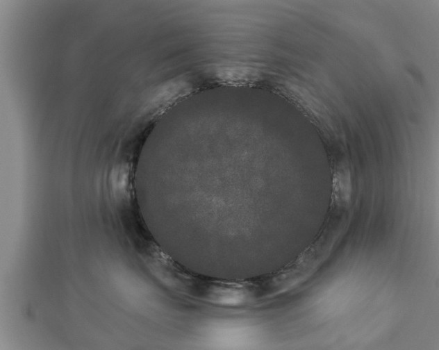 X0000112860671200908281605