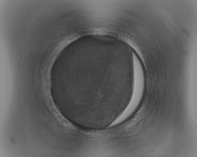 X0000112860673200908281604