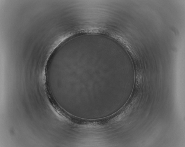 X0000112860674200908281604