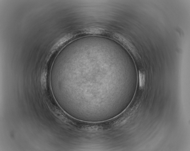 X0000112860675200908281604