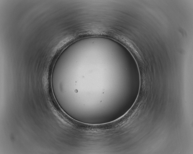 X0000112860677200908281604
