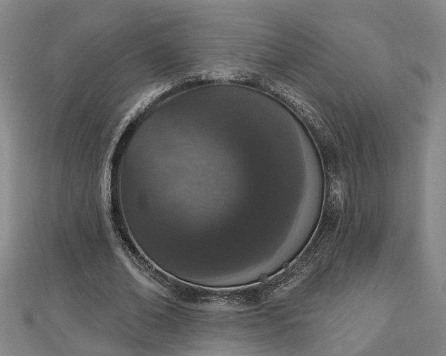 X0000112860678200908281604