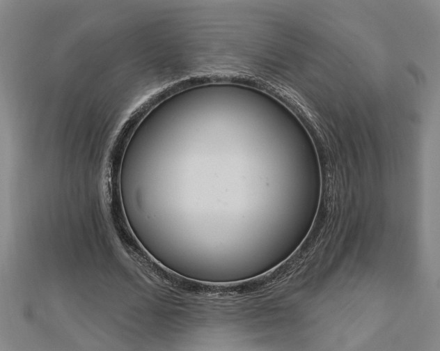 X0000112860680200908281604