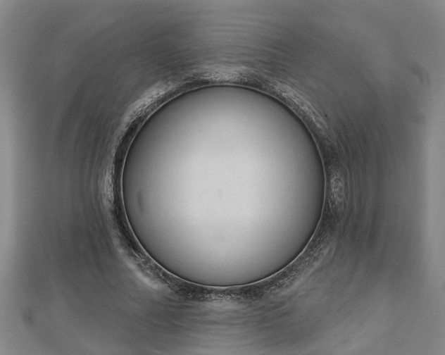 X0000112860682200908281604