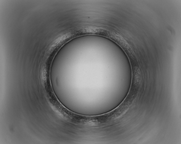 X0000112860683200908281604