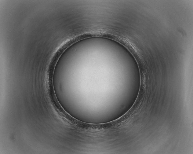 X0000112860684200908281604