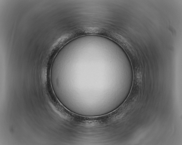 X0000112860686200908281604