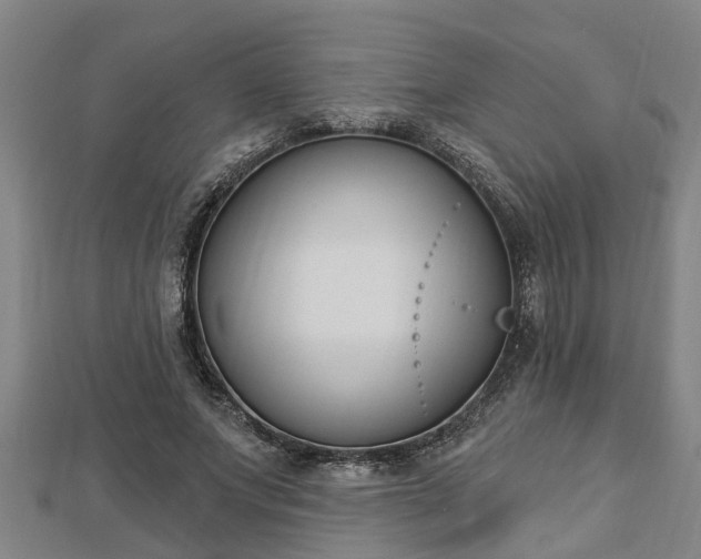 X0000112860687200908281604