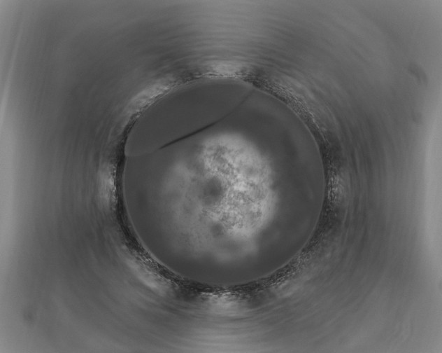 X0000112860688200908281604