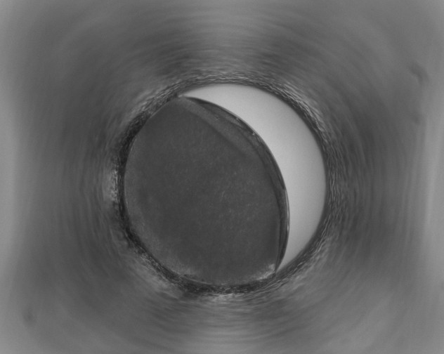 X0000112860689200908281604