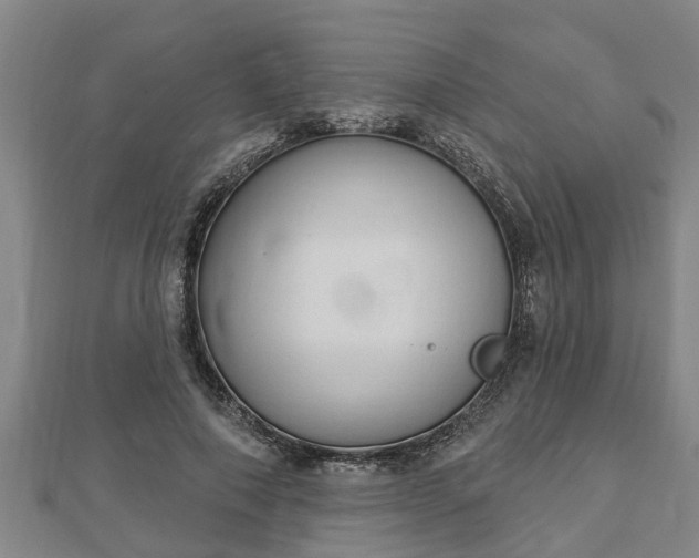 X0000112860690200908281604