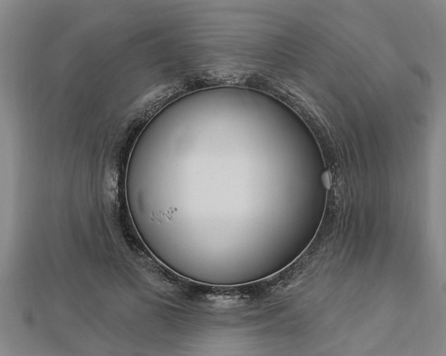 X0000112860693200908281604