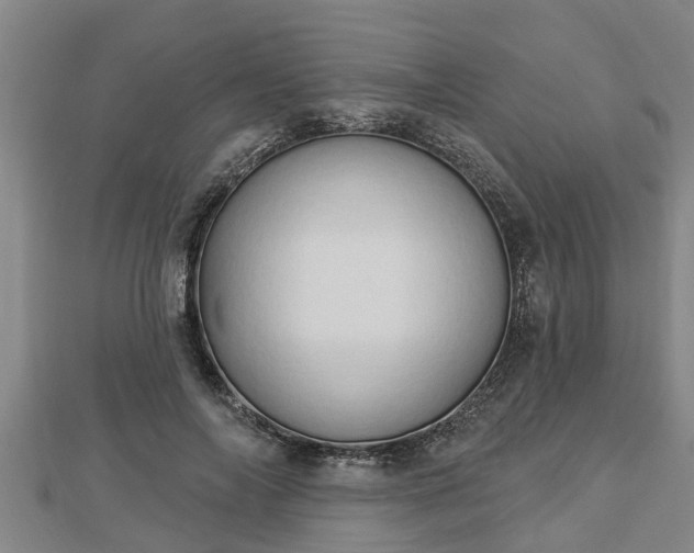X0000112860694200908281604