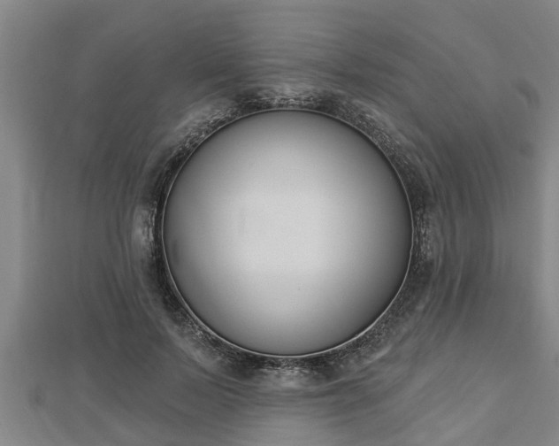 X0000112860695200908281604